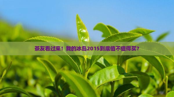 澜沧古茶的冰岛2015