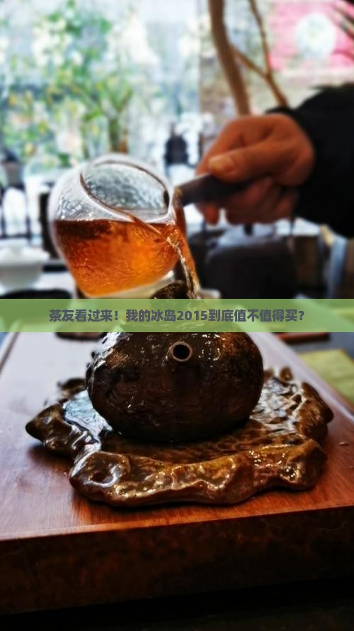 澜沧古茶的冰岛2015