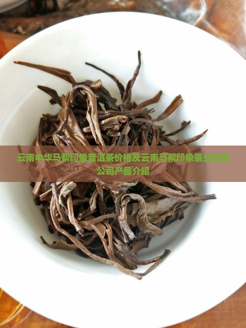 云南中华马帮印象普洱茶