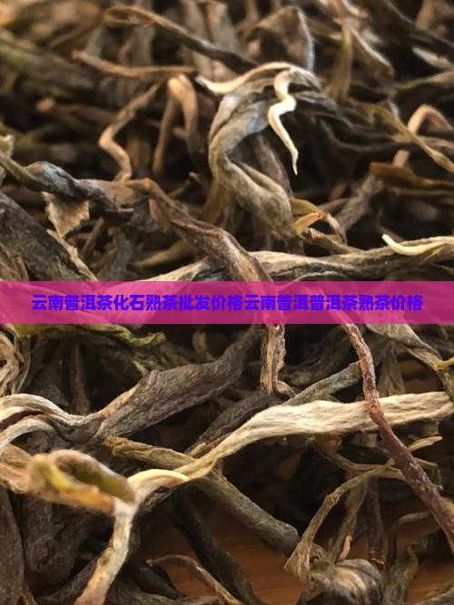 云南普洱茶化石熟茶价格