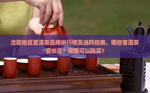 沈阳普洱茶排名