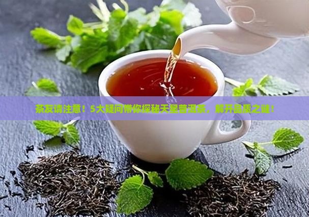 普洱市天星普洱茶有限公司
