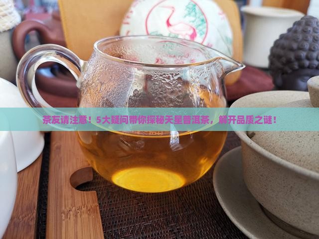 普洱市天星普洱茶有限公司