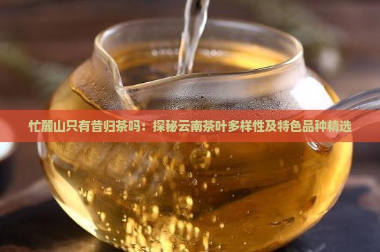 忙麓山只有昔归茶吗