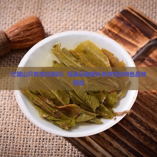 忙麓山只有昔归茶吗