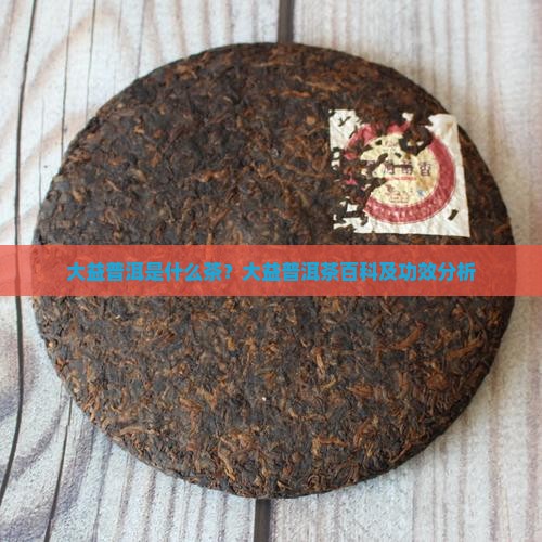 大益普洱是什么茶