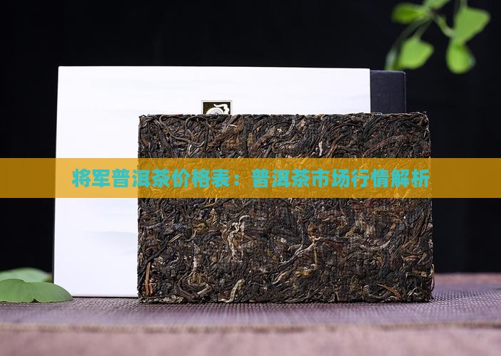 大将军普洱茶价格表