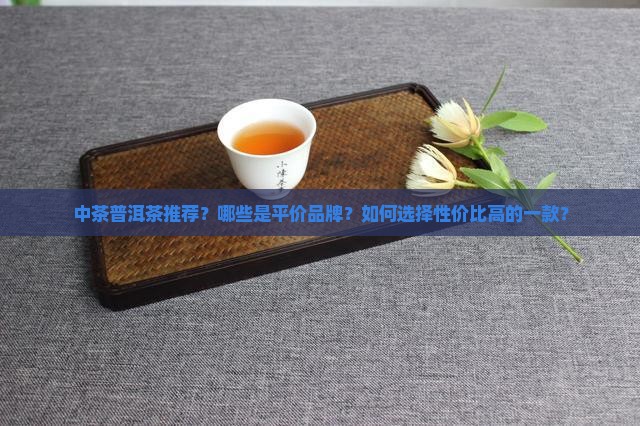 中茶普洱茶推荐品牌平价