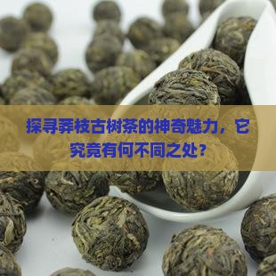 莽枝古树茶怎么样