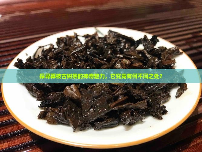 莽枝古树茶怎么样