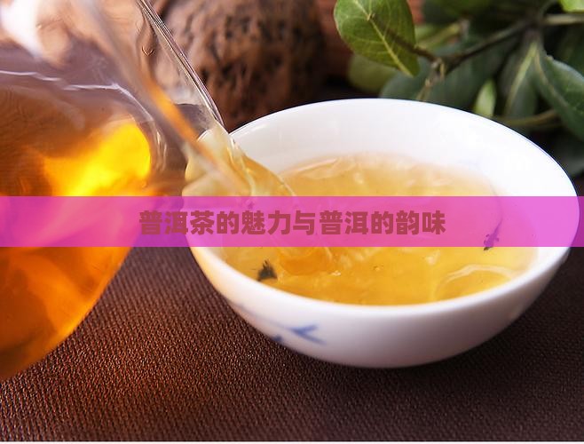 苦生甜的普洱茶