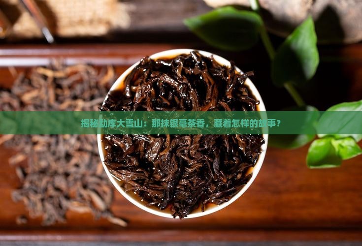 勐库大雪山银毫茶