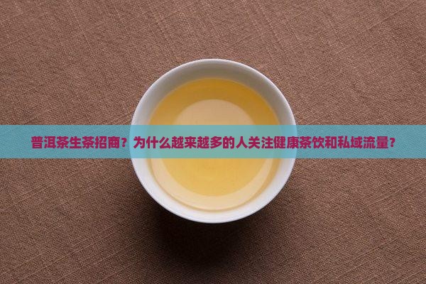 普洱茶生茶招商
