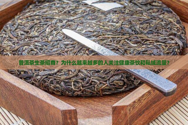 普洱茶生茶招商