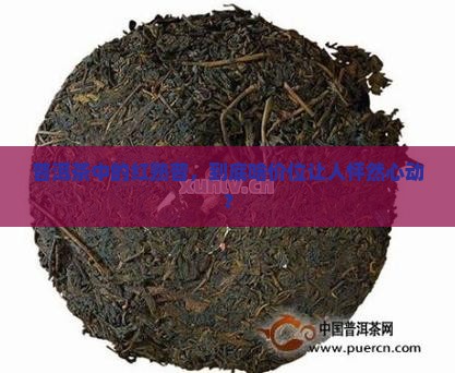 普洱茶红熟普价位
