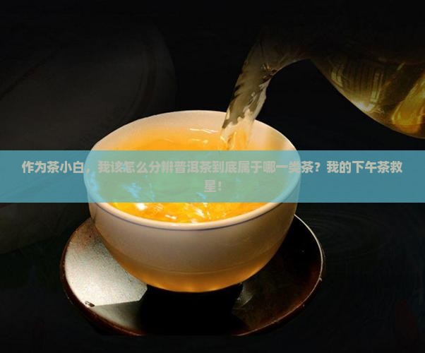 普洱茶属于什么型类的茶种