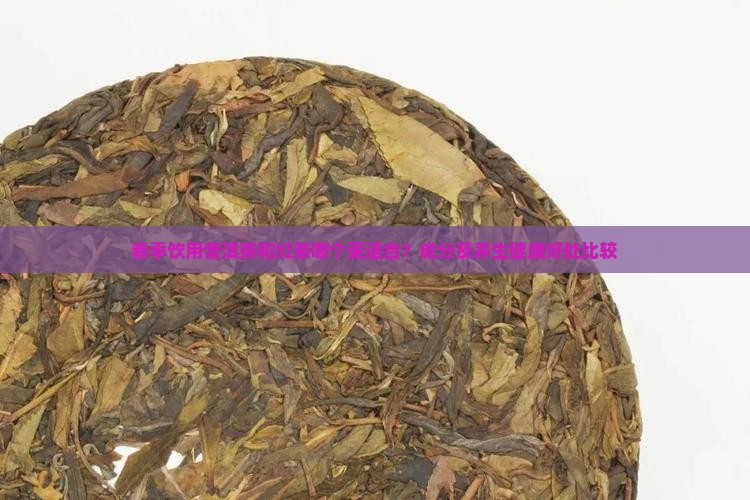 春季喝普洱茶好还是红茶好
