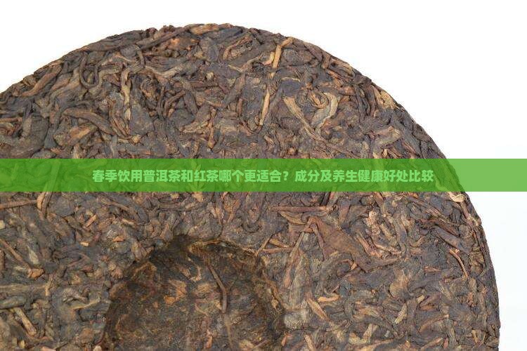 春季喝普洱茶好还是红茶好