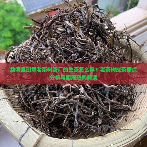 勐海县班章老茶树茶厂生茶