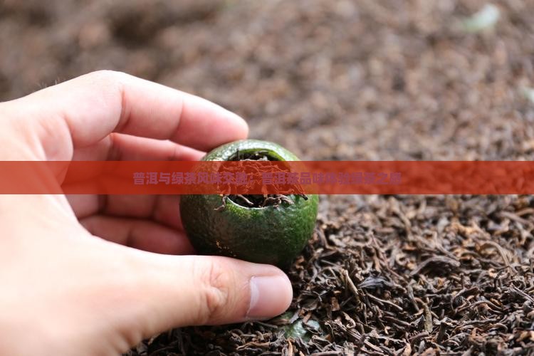 普洱茶喝的感觉像绿茶