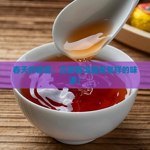 古道春普洱茶怎么样