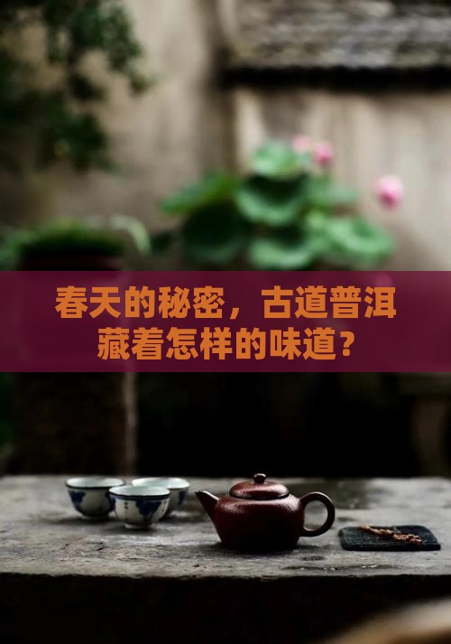 古道春普洱茶怎么样