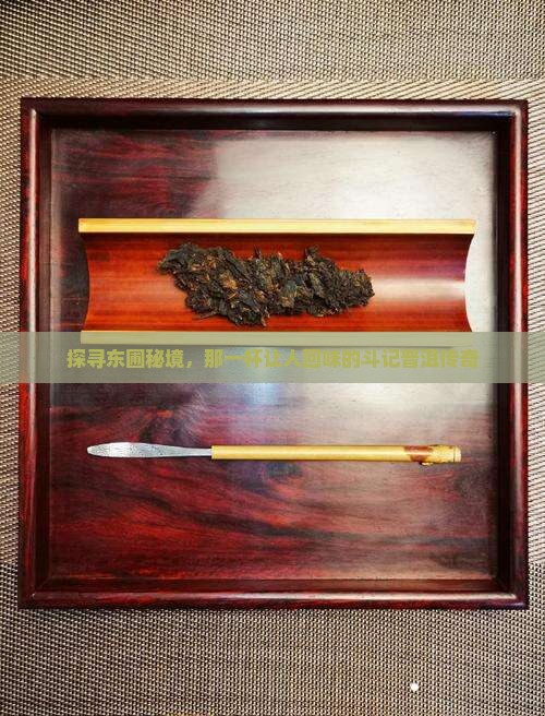 东圃斗记普洱茶