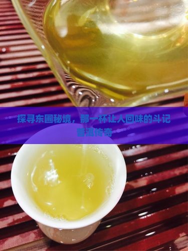 东圃斗记普洱茶
