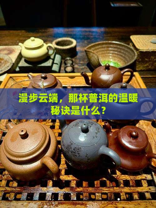 云海上的普洱茶