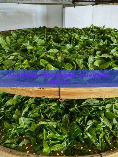 戎氏世博会普洱茶纪念茶