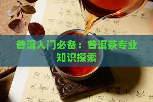 普洱茶专业入门知识