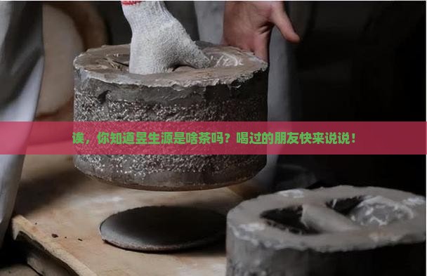 昱生源是什么茶