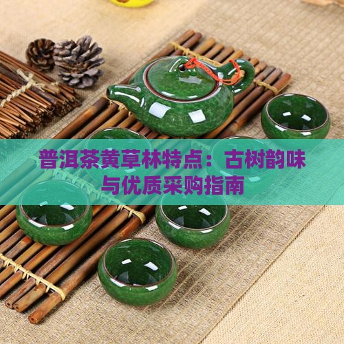 普洱茶黄草林特点