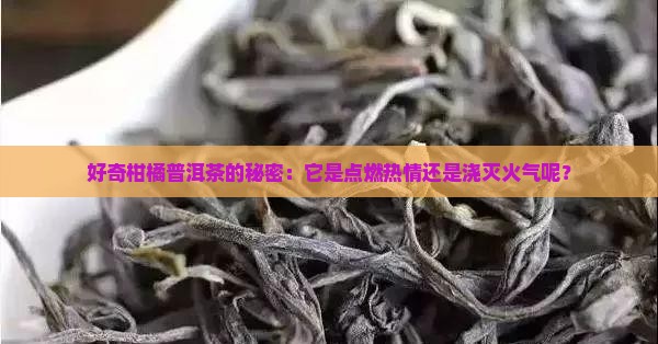 柑橘普洱茶喝着上火吗还是降火