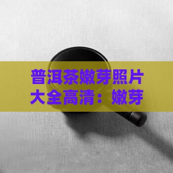 普洱茶嫩芽照片大全