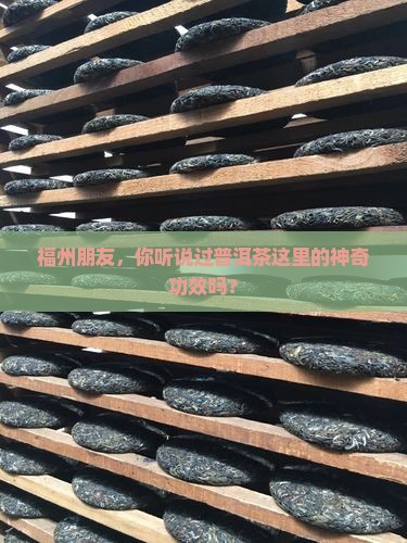 福州普洱茶功效