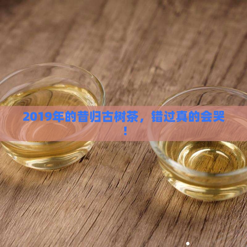 2019年昔归古树茶