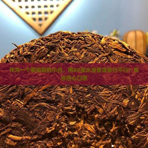 普洱茶用多少温度水泡好