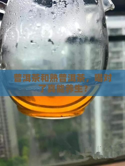 普洱茶和熟普洱茶的功效