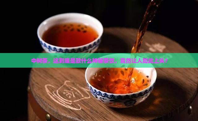 中树茶属于什么茶类