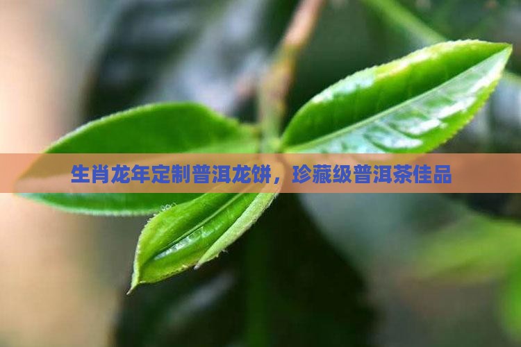 龙年龙号普洱茶饼