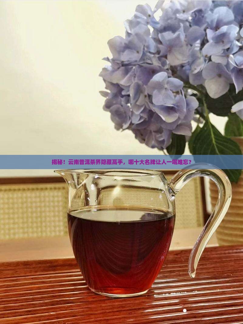 云南普洱茶十大名牌排名表及价格
