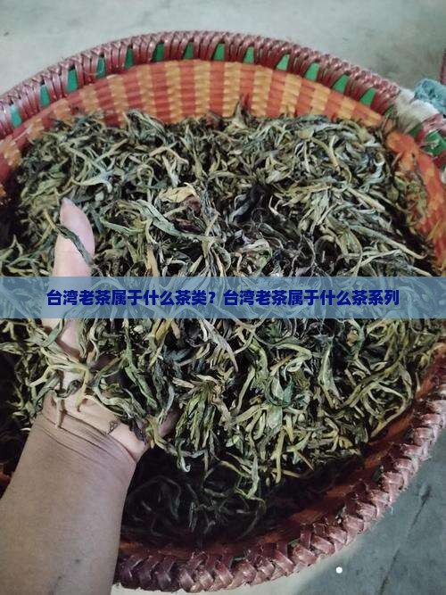 台湾老茶属于什么茶