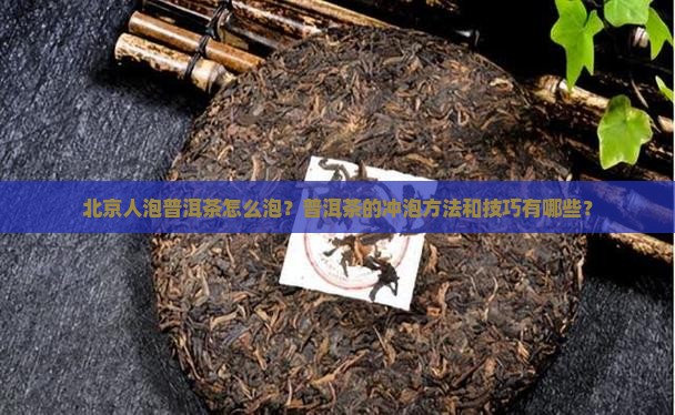 北京人泡普洱茶怎么泡的