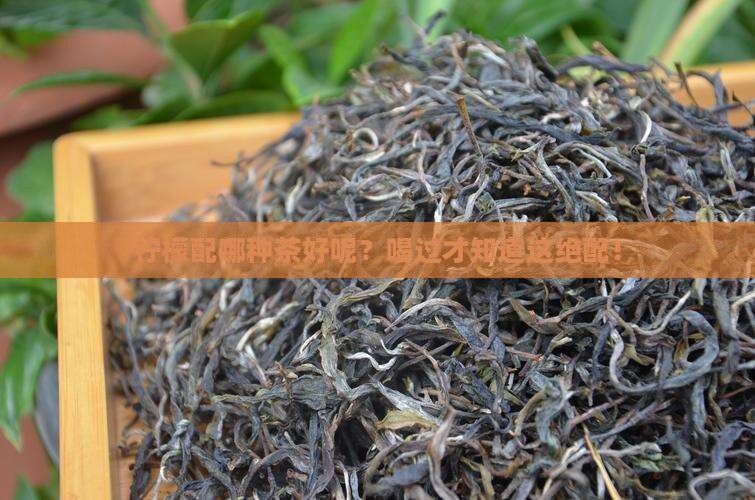 柠檬和什么茶叶能一起泡吗
