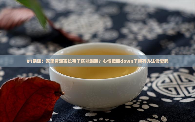 普洱茶叶发霉还可以食用吗