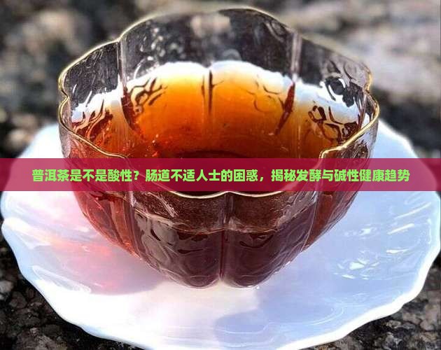 普洱茶是不是酸性