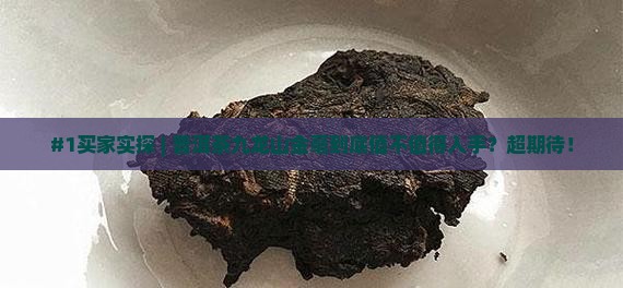 普洱茶九龙山金毫 普洱茶九龙山金毫