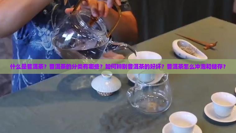 普洱茶专业知识笔记