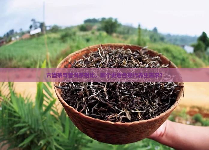 六堡茶和普洱茶那个好